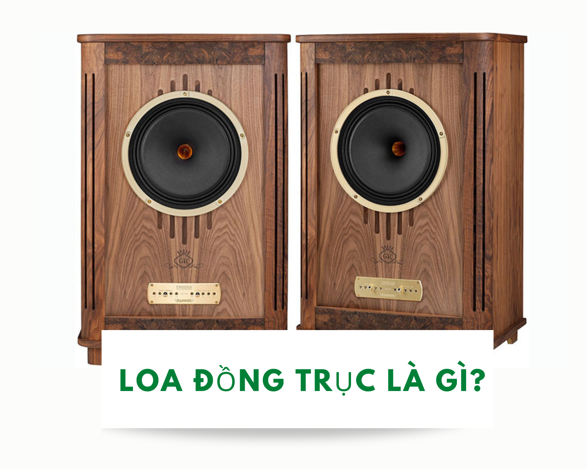 Loa-dong-truc-la-gi